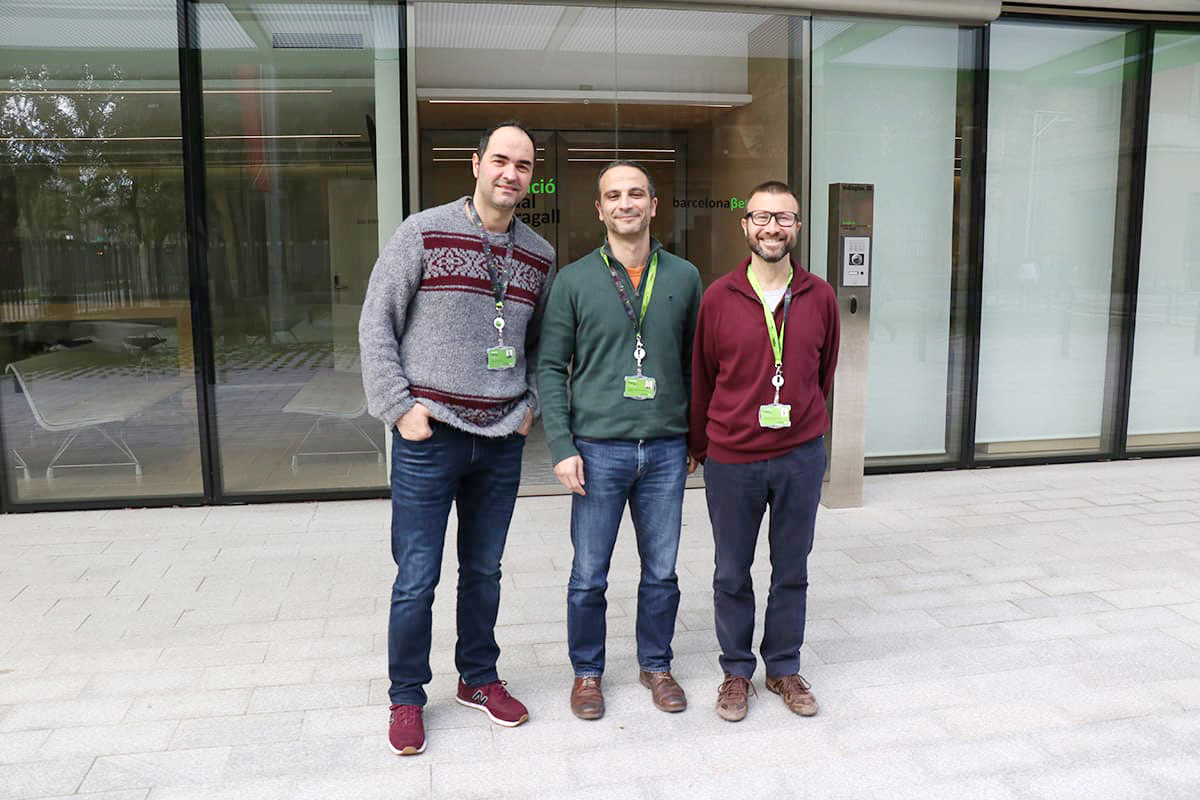 Detectan alteraciones en la estructura cerebral de personas sanas con un mayor riesgo de desarrollar Alzheimer