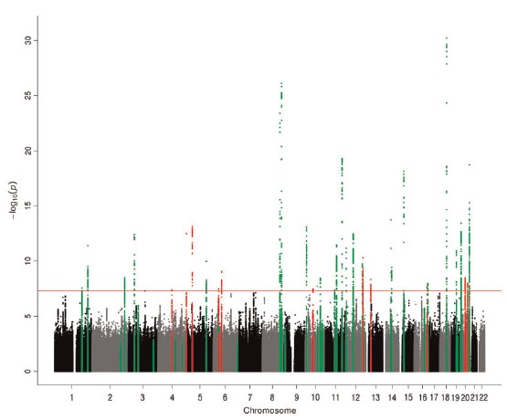 Describen nuevas variantes genéticas asociadas a cáncer colorrectal