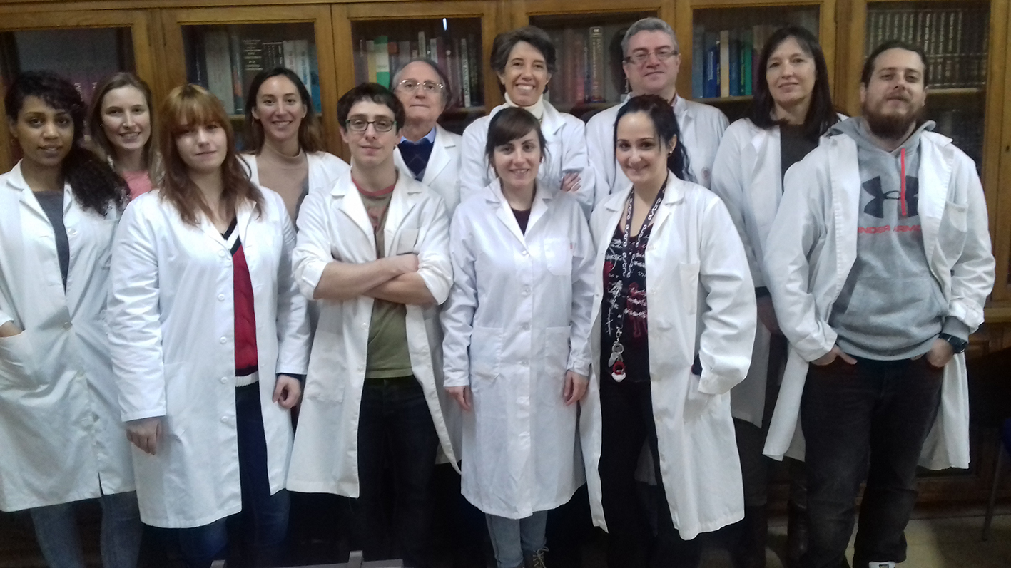 Mutaciones en canales cardiacos de sodio pueden afectar a la función de canales de potasio en el Síndrome de Brugada