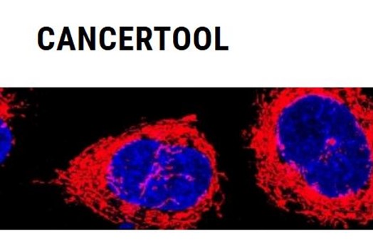 Desarrollan una herramienta para la visualización y representación de datos de expresión génica en cáncer: CANCERTOOL