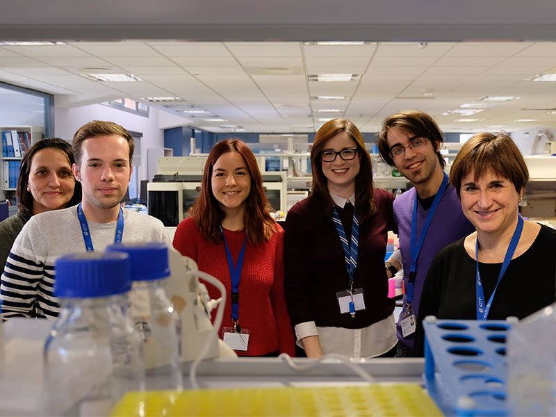 Identifican nuevos biomarcadores candidatos para las etapas iniciales de la diabetes tipo 1 pediátrica