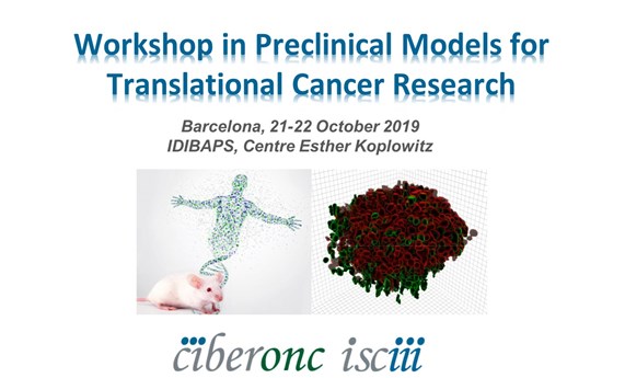 Un workshop del CIBERONC versará sobre  los modelos preclínicos de la investigación traslacional en oncología