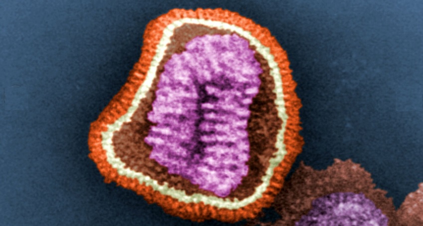El Sistema de Vigilancia de la Gripe en España dibuja un mapa del comportamiento de las epidemias de gripe en lo que va de siglo