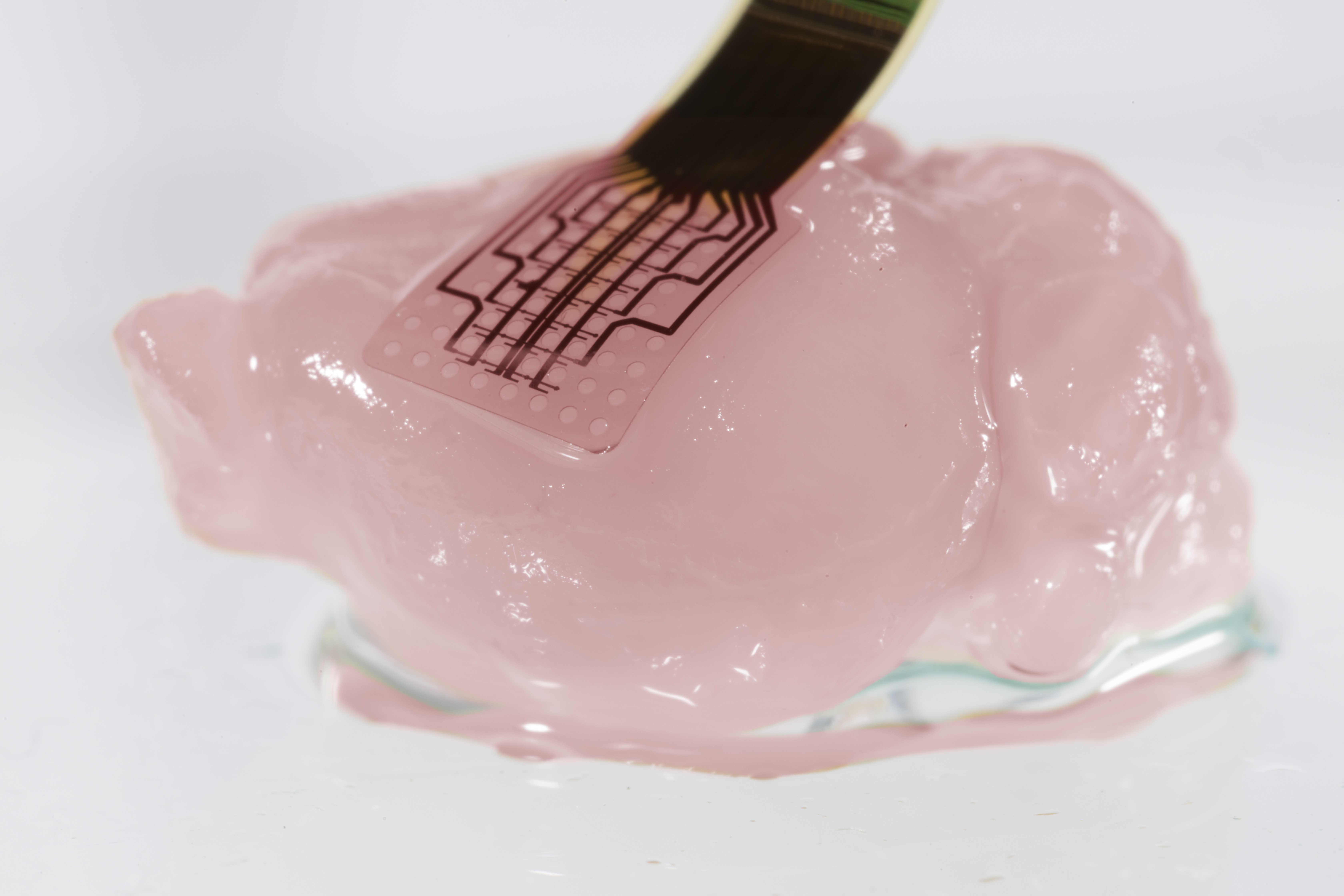 Desbloqueo del cerebro con la nueva tecnología de grafeno