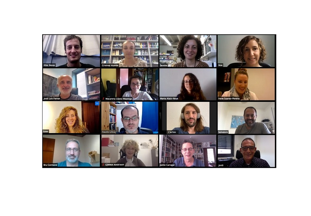 Descubren nuevos genes derivados de transposones y relacionados con el autismo y otros trastornos neurológicos