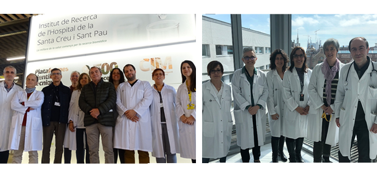 Las lipoproteínas que transportan colesterol promueven el desarrollo de cánceres relacionados con el sistema endocrino