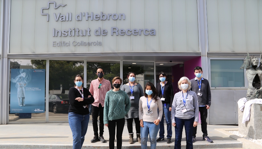 Desarrollan vesículas extracelulares como vehículos para enzimas terapéuticas en las enfermedades por depósito lisosomal