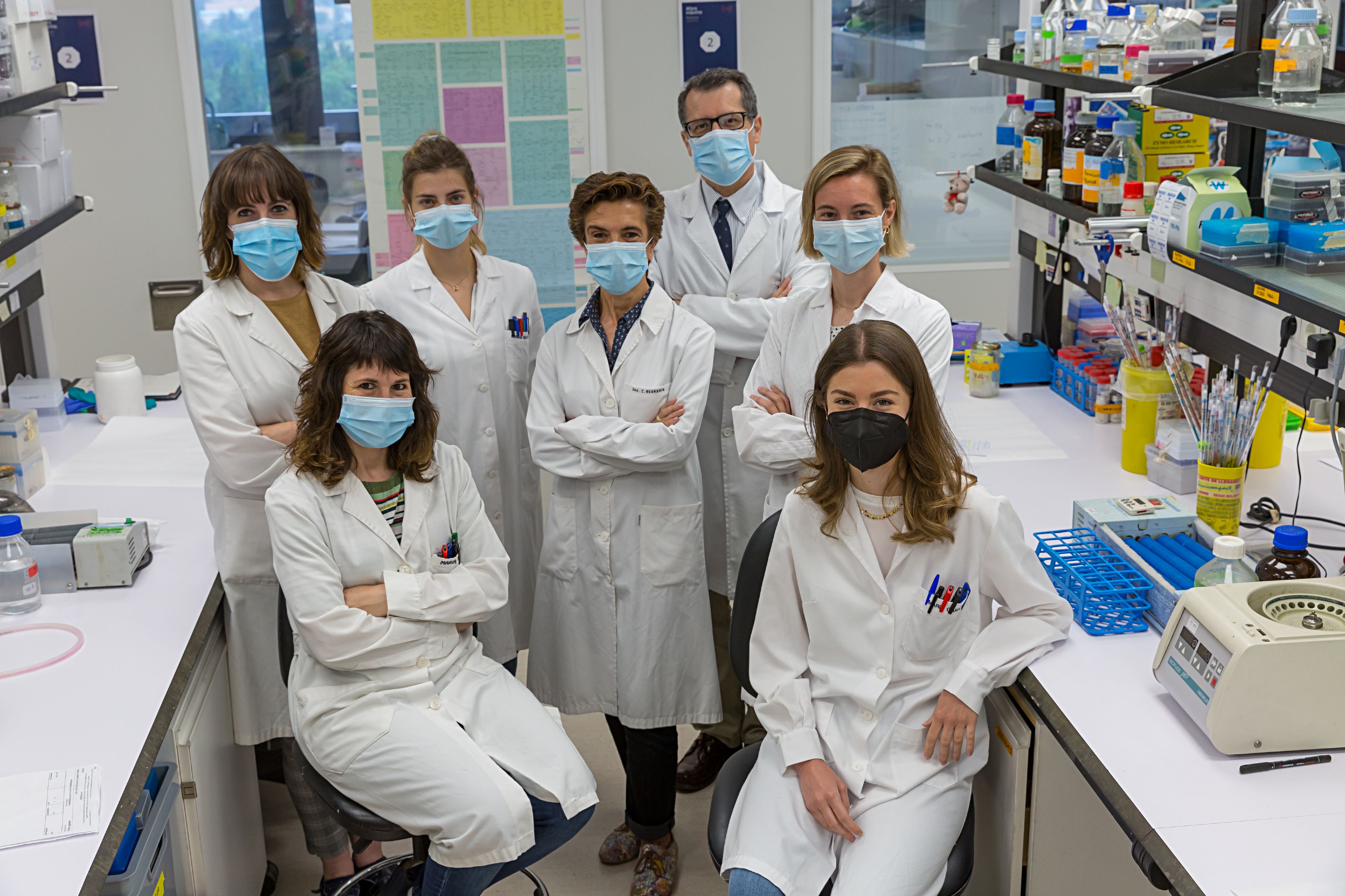 Identifican mecanismos esenciales para la identidad y función del hígado