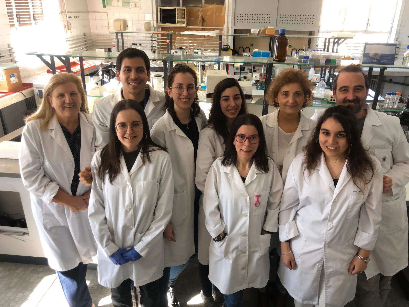 Nuevos avances para ponerle freno a la fibrosis cardiaca en pacientes obesos