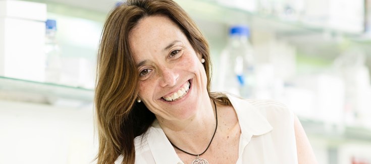 Un estudio revela que el hígado es un órgano diana para la infeccion por SARS-CoV-2