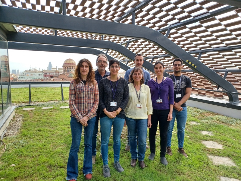 Un nuevo marcador sanguíneo indica inflamación en la placa carotídea y riesgo de recurrencia de ictus