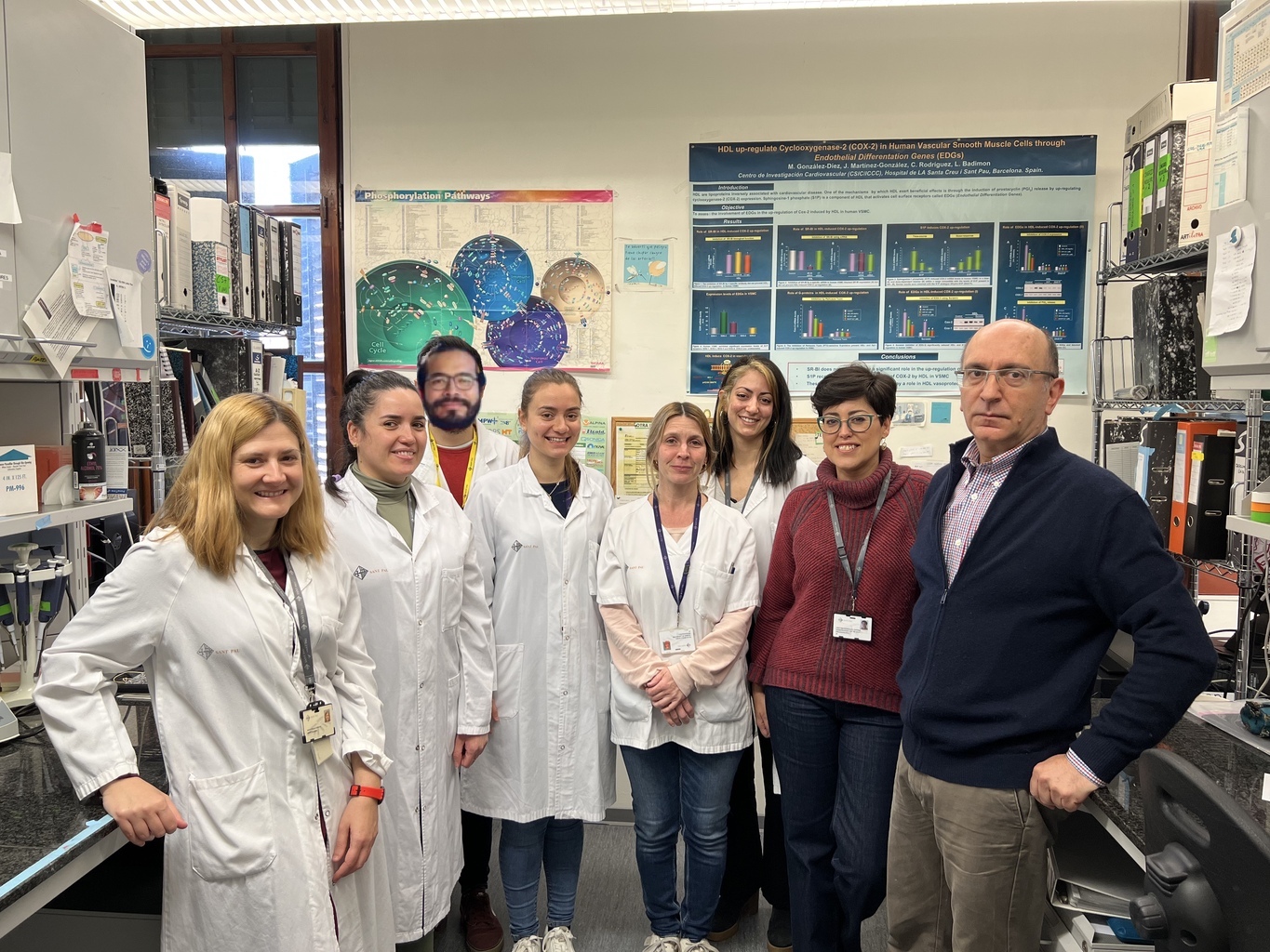 Nueva estrategia terapéutica para el tratamiento del aneurisma de aorta abdominal