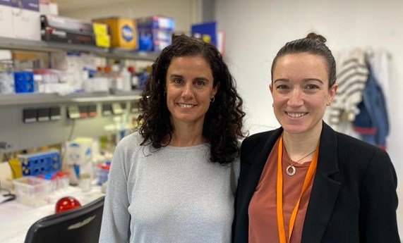 Nuevas recomendaciones para la clasificación de variantes en los genes POLE y POLD1 para mejorar la precisión diagnóstica en cáncer hereditario Nuevas recomendaciones para la clasificación de variantes en los genes POLE y POLD1 para mejorar la precisión diagnóstica en cáncer hereditario