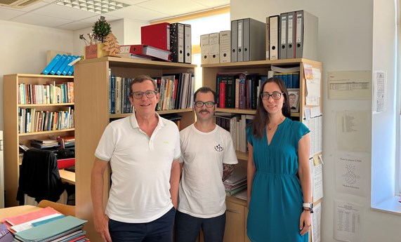 Una mejor calidad de los carbohidratos contribuye a una flora bacteriana intestinal más saludable Una mejor calidad de los carbohidratos contribuye a una flora bacteriana intestinal más saludable