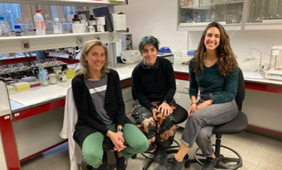 La Resolvina D2 podría ser la clave para prevenir y reparar el daño cardiovascular asociado a la hipertensión arterial La Resolvina D2 podría ser la clave para prevenir y reparar el daño cardiovascular asociado a la hipertensión arterial