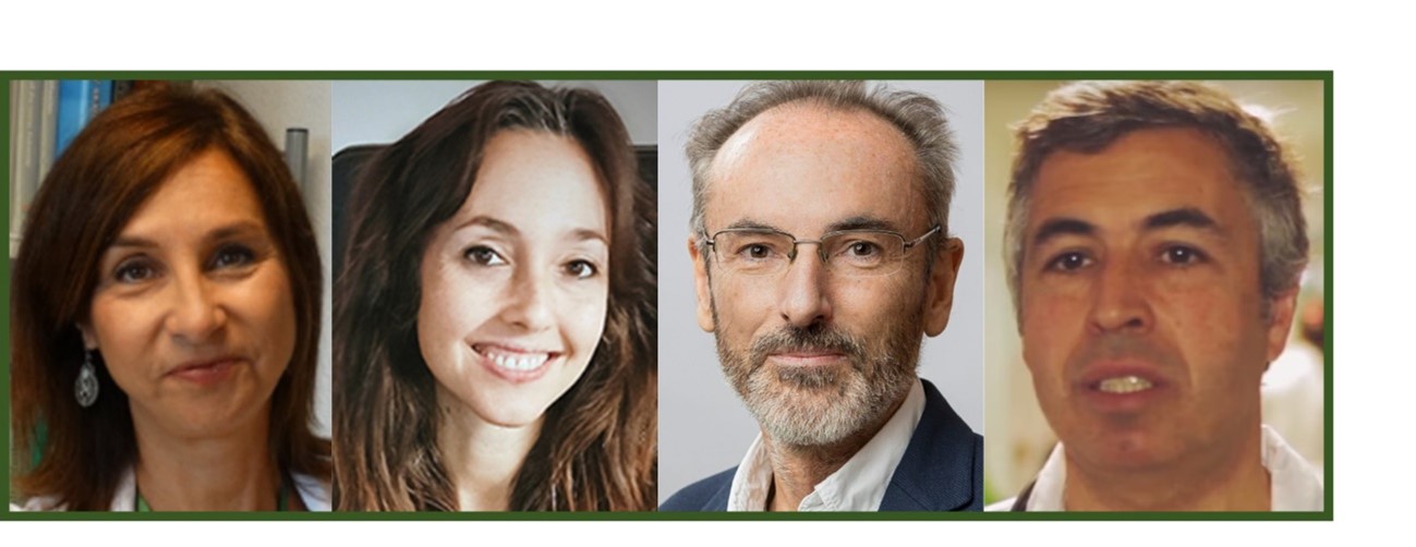 La cuádruple terapia con bismuto en cápsula única, tratamiento erradicador efectivo frente a Helicobacter pylori