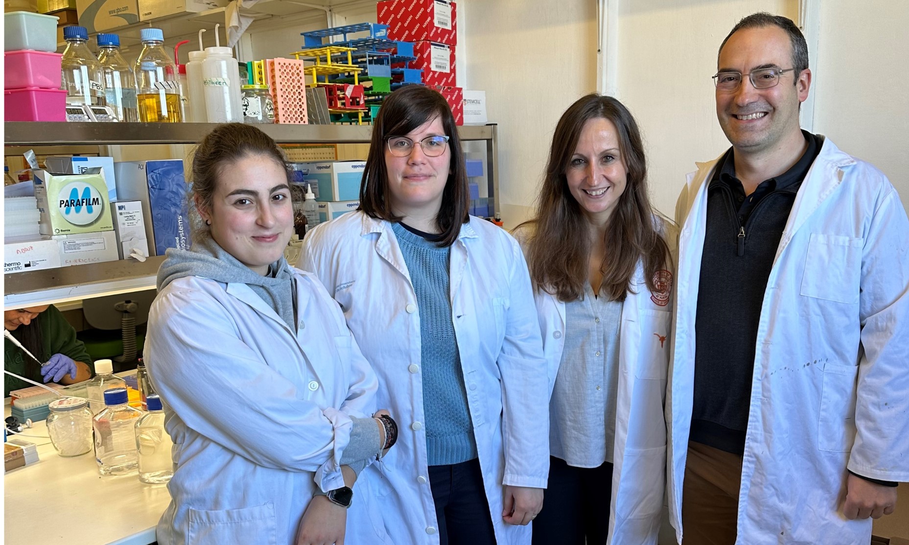 Desvelan los mecanismos moleculares de unas células inmunitarias que protegen de infecciones intestinales