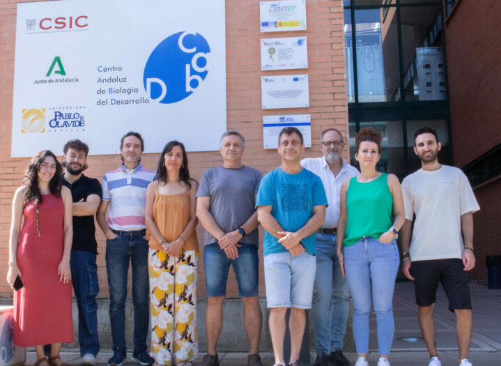 Nuevas variantes expanden el fenotipo neurológico de la deficiencia de COQ7