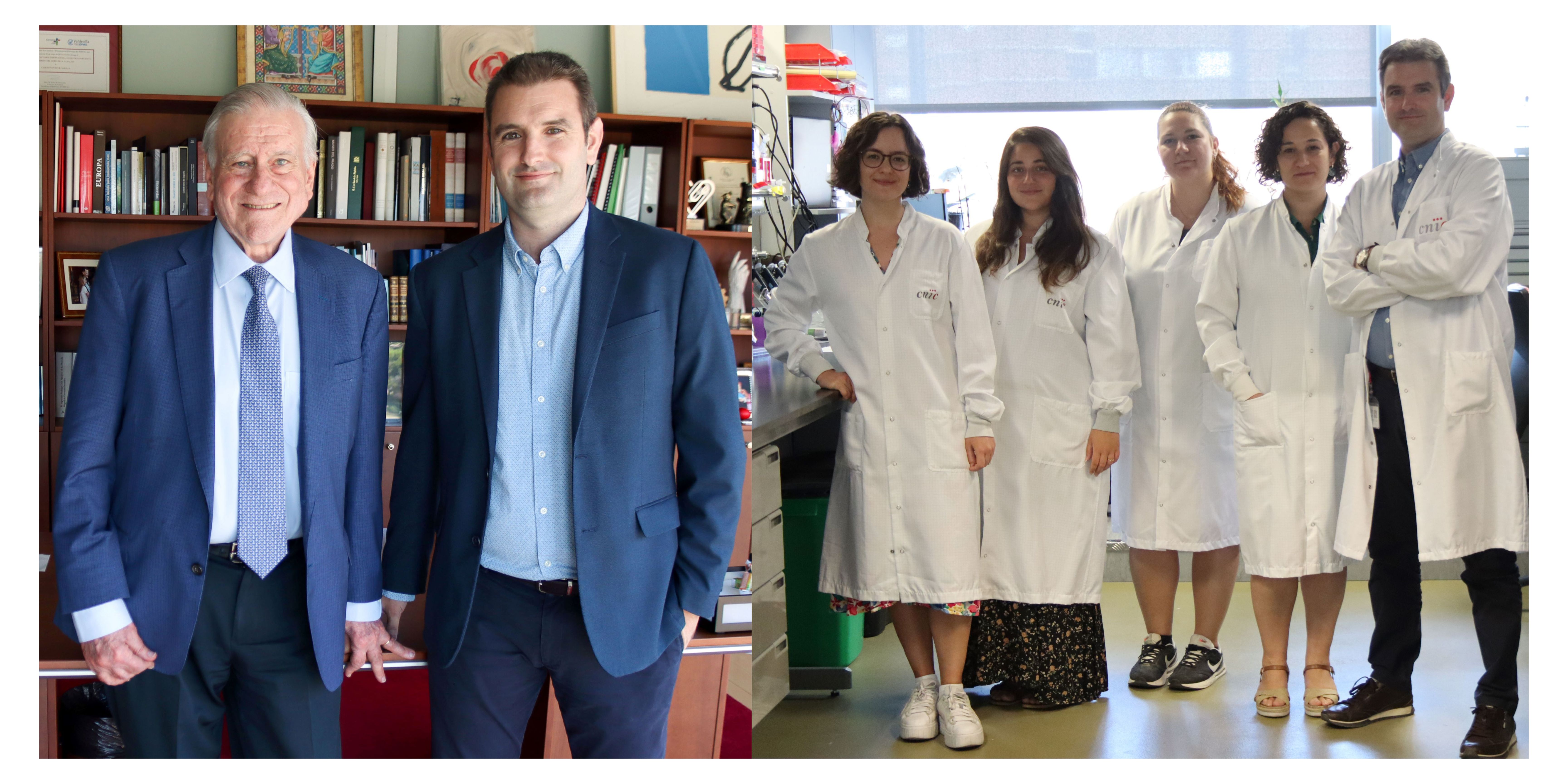 Descubre un nuevo factor de riesgo cardiovascular e identifica un fármaco capaz de reducir sus efectos