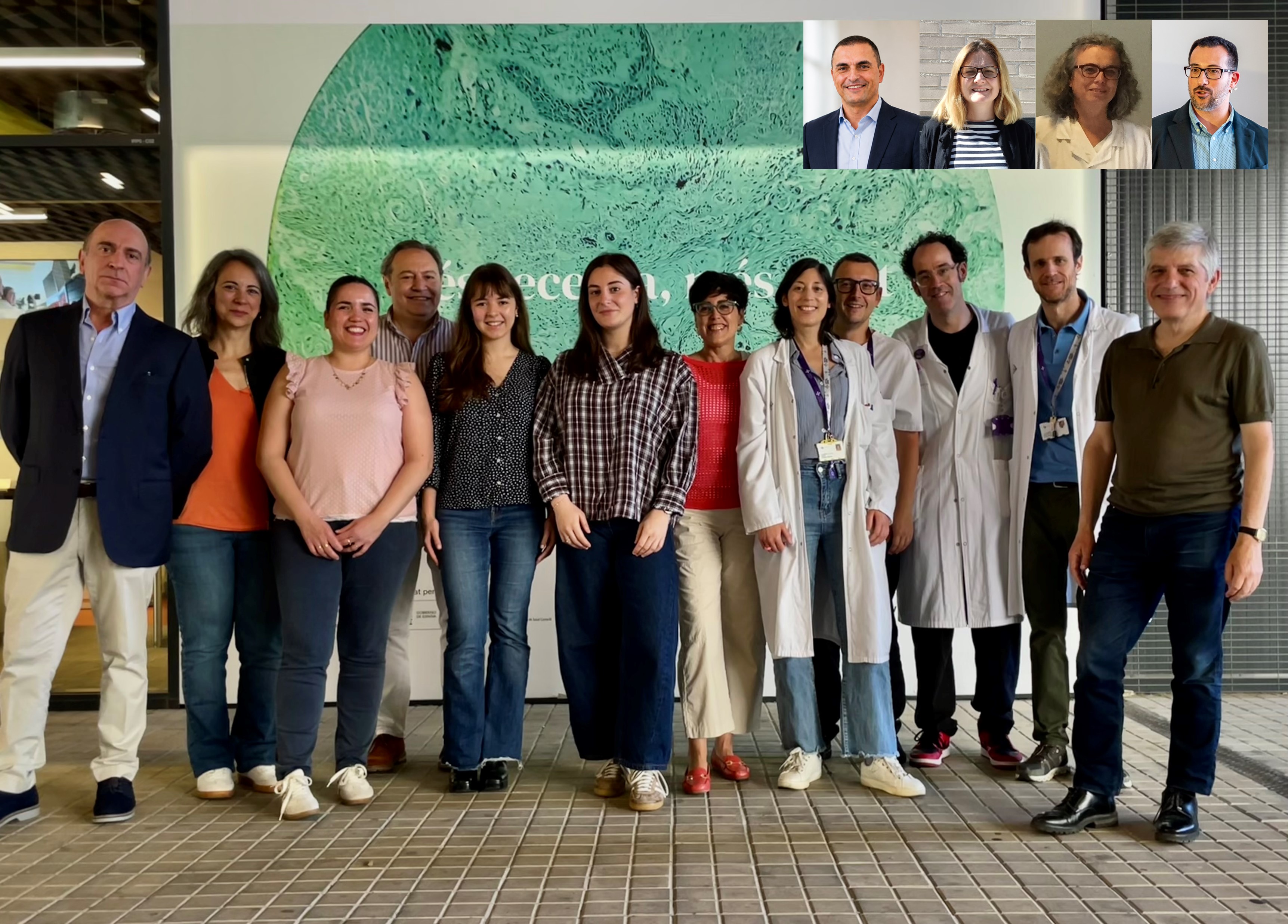 La grasa que envuelve la aorta podría ser clave en el síndrome de Marfan