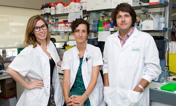 Un estudio relaciona alteraciones en un tipo específico de neuronas con la diabetes de tipo 2 Un estudio relaciona alteraciones en un tipo específico de neuronas con la diabetes de tipo 2