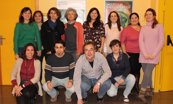 Una investigación asocia la exposición a Bisfenol-A durante el embarazo con el riesgo futuro de diabetes en las madres Una investigación asocia la exposición a Bisfenol-A durante el embarazo con el riesgo futuro de diabetes en las madres