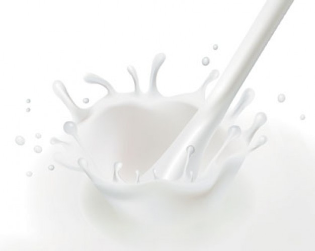 El CIBERDEM participa en un estudio sobre la leche de cabra