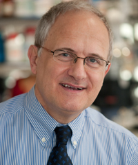 Pere Ginès recibe el premio alemán Lucie Bolte Prize