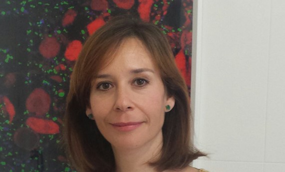 Esther Berrocoso, obtiene una beca NARSAD para el estudio de la depresión y el dolor Esther Berrocoso, obtiene una beca NARSAD para el estudio de la depresión y el dolor