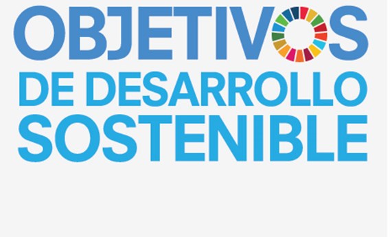Investigadores del CIBERSAM participan en un estudio que evalúa los progresos en salud de 188 países Investigadores del CIBERSAM participan en un estudio que evalúa los progresos en salud de 188 países