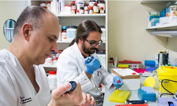 Una investigación pionera contribuirá a mejorar el conocimiento de las enfermedades minoritarias mitocondriales Una investigación pionera contribuirá a mejorar el conocimiento de las enfermedades minoritarias mitocondriales