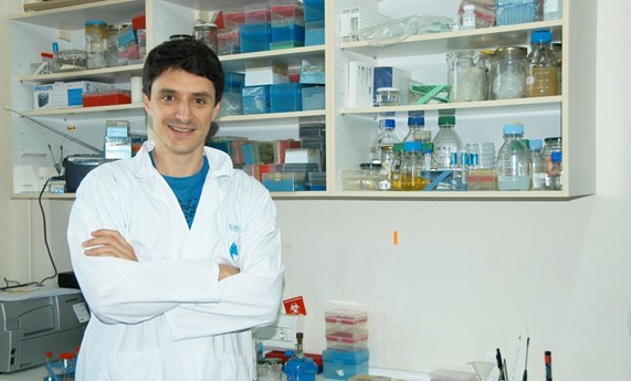 Demuestran que unas pequeñas moléculas de ADN presentes en las bacterias potencian su resistencia a los antibióticos Demuestran que unas pequeñas moléculas de ADN presentes en las bacterias potencian su resistencia a los antibióticos