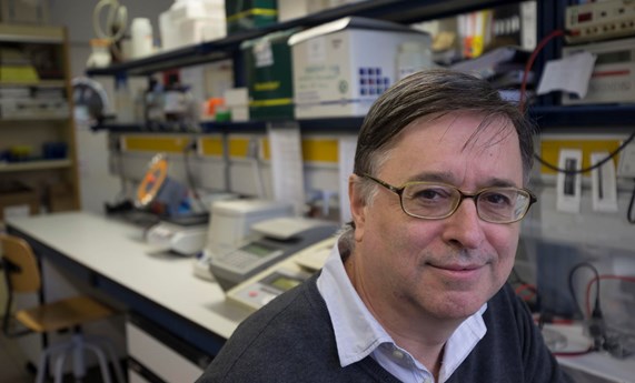 Investigadores del CIBEROBN y de la UB descubren el poder de los Omega-3 como activadores de la grasa parda, clave en el avance contra la obesidad y enfermedades metabólicas Investigadores del CIBEROBN y de la UB descubren el poder de los Omega-3 como activadores de la grasa parda, clave en el avance contra la obesidad y enfermedades metabólicas