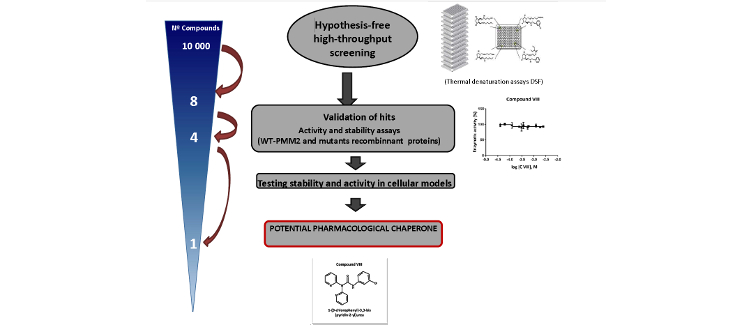 Obtienen la primera prueba de concepto de un posible tratamiento para el trastorno de la glicosilación PMM2-CDG
