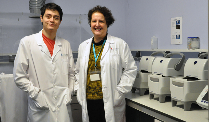 Revelan que los prebióticos mejoran la inmunidad de personas con VIH