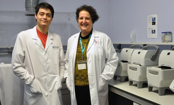 Revelan que los prebióticos mejoran la inmunidad de personas con VIH Revelan que los prebióticos mejoran la inmunidad de personas con VIH