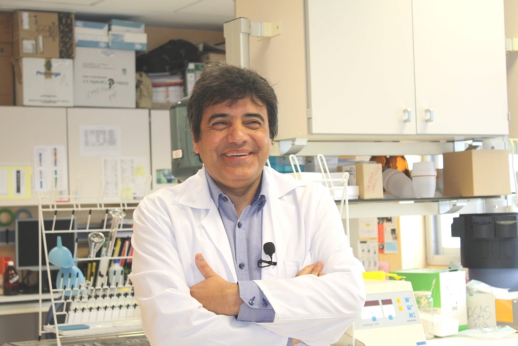 La exposición a andrógenos en las primeras horas de vida puede inducir alteraciones metabólicas en la edad adulta