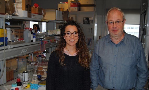 Nuevos nanodispositivos permiten detectar la presencia de cocaína en la saliva de manera rápida y fiable Nuevos nanodispositivos permiten detectar la presencia de cocaína en la saliva de manera rápida y fiable