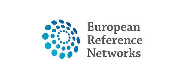 11 grupos de investigación del CIBERER se han incorporado a las Redes Europeas de Referencia