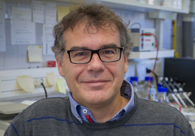 La técnica de molécula individual permite explicar el comportamiento termodinámico de sistemas complejos de biomoléculas