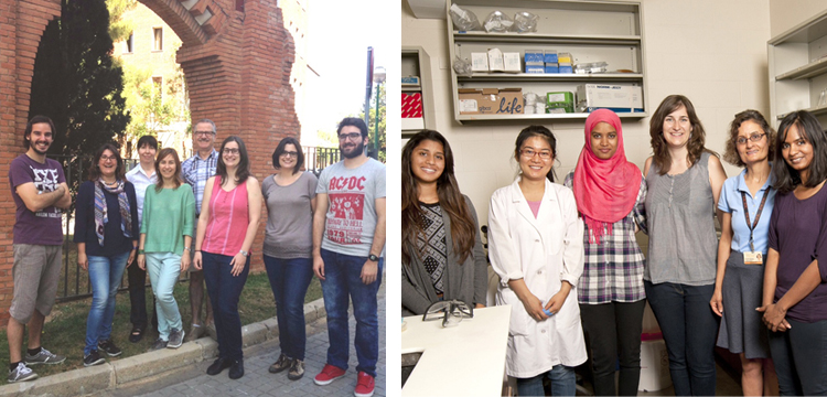 Glucosa o fructosa: nuevo estudio sobre el impacto del azúcar en el metabolismo y la salud cardiovascular