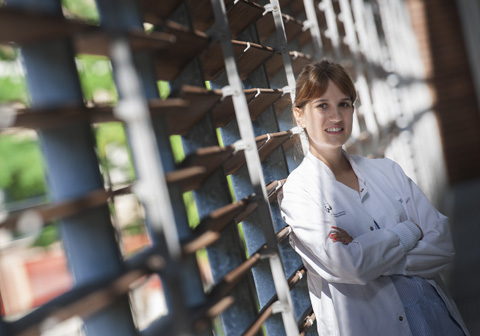 El resveratrol y el pterostilbeno previenen la acumulación de grasa corporal